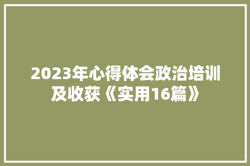 2023年心得体会政治培训及收获《实用16篇》 社会论文