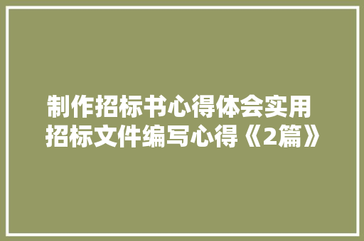 制作招标书心得体会实用 招标文件编写心得《2篇》 表扬书