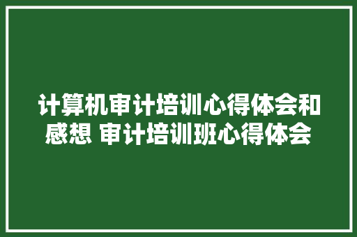 计算机审计培训心得体会和感想 审计培训班心得体会《八篇》 文秘写作
