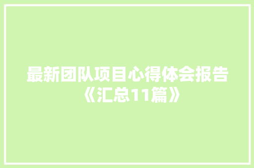 最新团队项目心得体会报告《汇总11篇》 承诺书