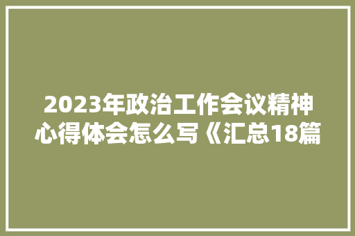 2023年政治工作会议精神心得体会怎么写《汇总18篇》 文秘写作
