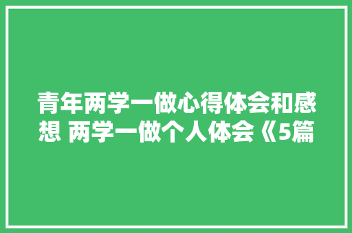 青年两学一做心得体会和感想 两学一做个人体会《5篇》 保证书