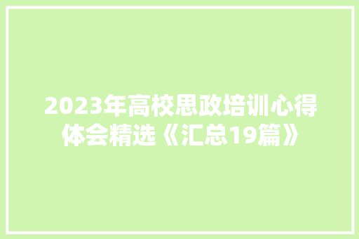 2023年高校思政培训心得体会精选《汇总19篇》 担保书