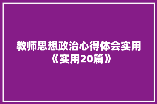 教师思想政治心得体会实用《实用20篇》 个人简历
