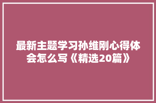 最新主题学习孙维刚心得体会怎么写《精选20篇》 简历资料