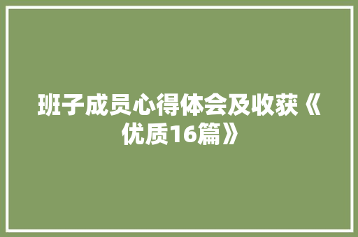 班子成员心得体会及收获《优质16篇》 担保书