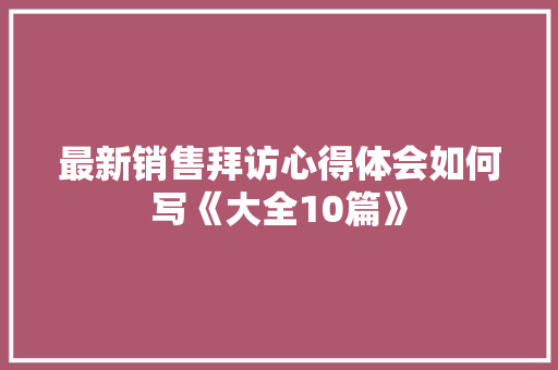 最新销售拜访心得体会如何写《大全10篇》 个人简历