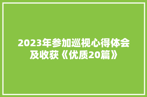 2023年参加巡视心得体会及收获《优质20篇》 计算机论文