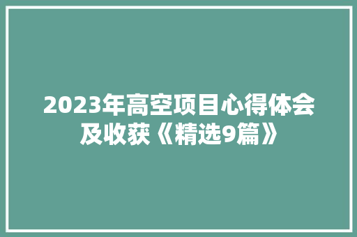 2023年高空项目心得体会及收获《精选9篇》 计算机论文