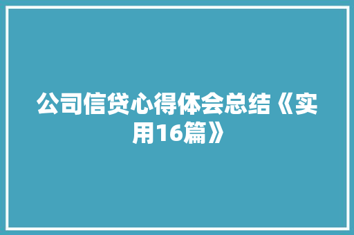 公司信贷心得体会总结《实用16篇》 简历资料