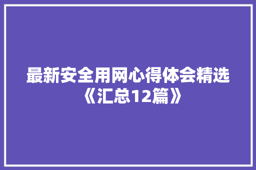 最新安全用网心得体会精选《汇总12篇》 公证书