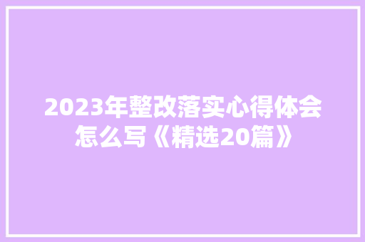 2023年整改落实心得体会怎么写《精选20篇》 英文简历