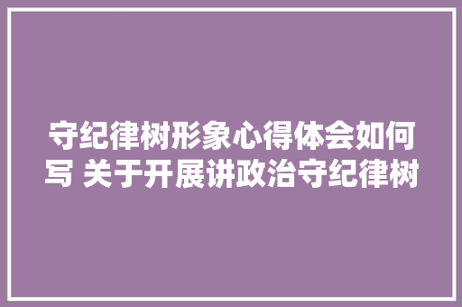 守纪律树形象心得体会如何写 关于开展讲政治守纪律树形象心得体会《七篇》 保证书