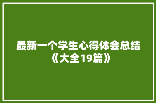 最新一个学生心得体会总结《大全19篇》 英文简历