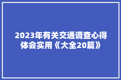 2023年有关交通调查心得体会实用《大全20篇》 公证书