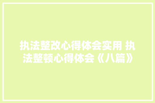 执法整改心得体会实用 执法整顿心得体会《八篇》 管理论文