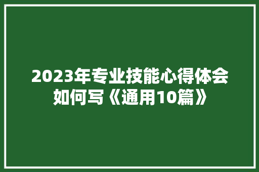 2023年专业技能心得体会如何写《通用10篇》 计算机论文