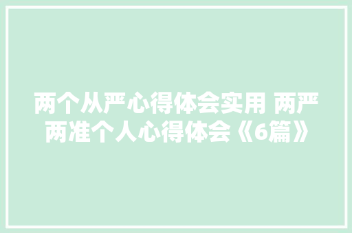 两个从严心得体会实用 两严两准个人心得体会《6篇》 论文
