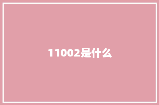 11002是什么 教育论文