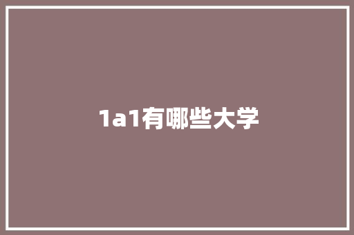 1a1有哪些大学 计算机论文
