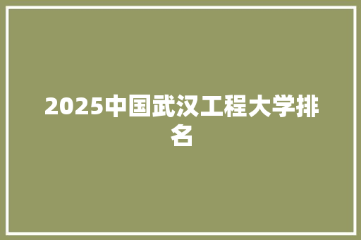2025中国武汉工程大学排名 个人写作