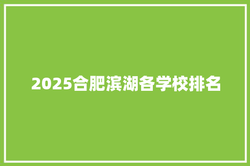 2025合肥滨湖各学校排名 策划方案
