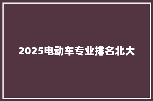 2025电动车专业排名北大 论文