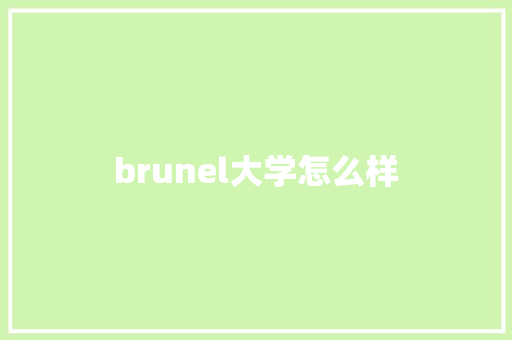 brunel大学怎么样 条剧书信