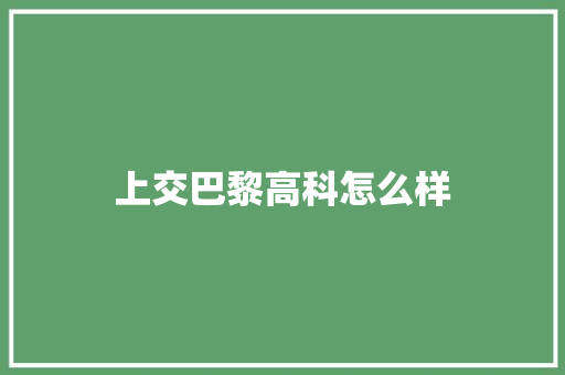 上交巴黎高科怎么样 承诺书