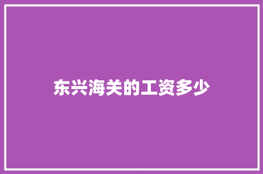 东兴海关的工资多少 简历