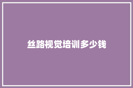 丝路视觉培训多少钱 毕业设计