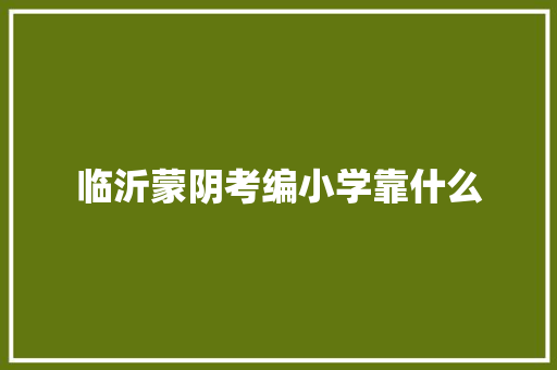 临沂蒙阴考编小学靠什么 公证书