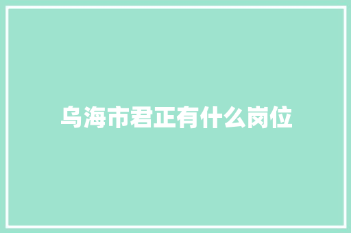 乌海市君正有什么岗位 个人写作