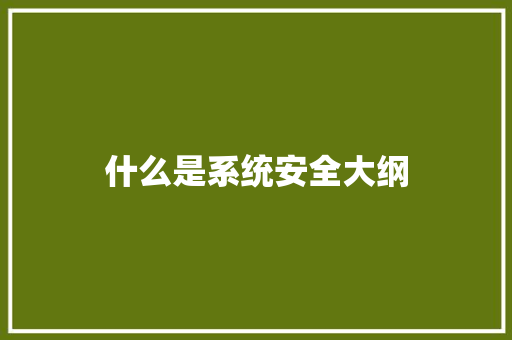 什么是系统安全大纲 公证书