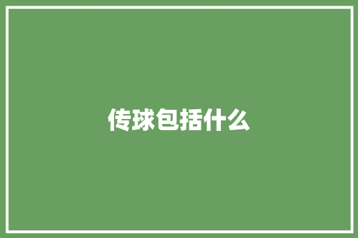 传球包括什么 管理论文