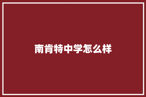 南肯特中学怎么样 计算机论文
