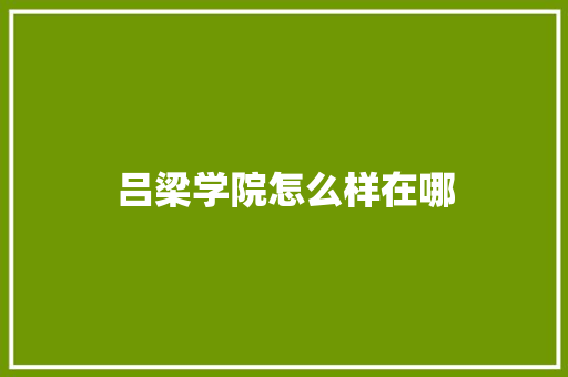 吕梁学院怎么样在哪 文秘写作