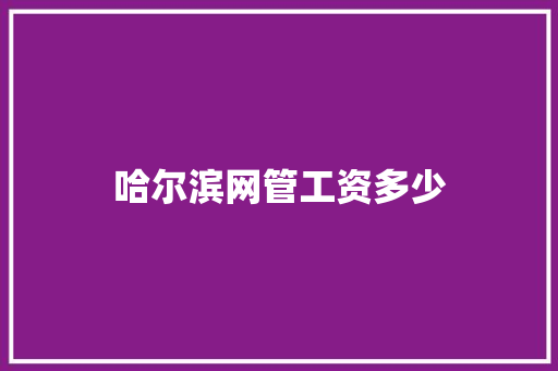 哈尔滨网管工资多少 表扬书