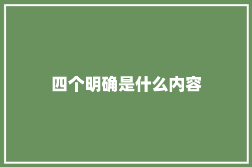 四个明确是什么内容 个人简历