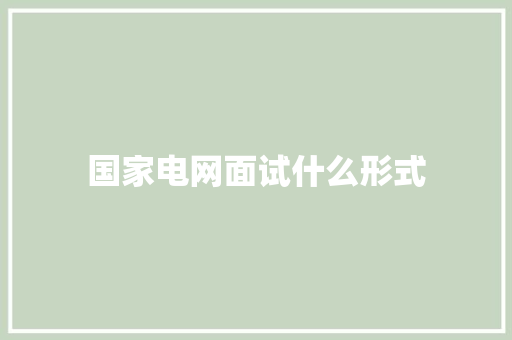 国家电网面试什么形式 公证书