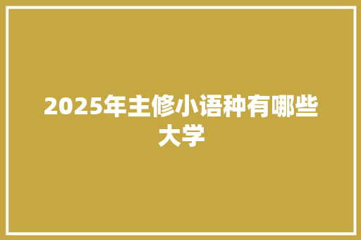 2025年主修小语种有哪些大学 计算机论文