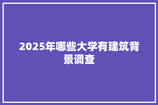 2025年哪些大学有建筑背景调查 计算机论文