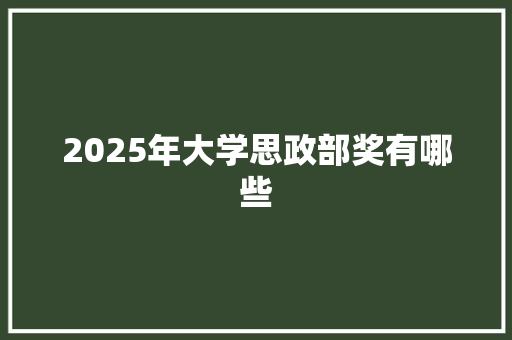 2025年大学思政部奖有哪些 承诺书