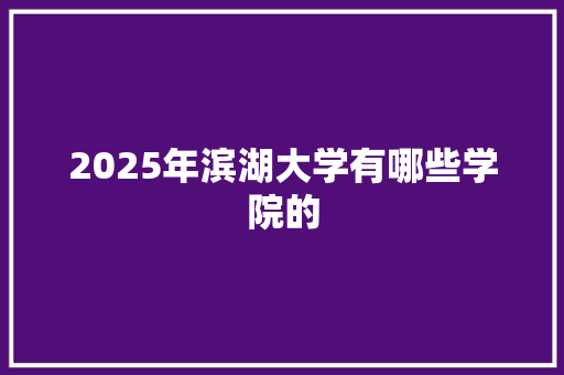 2025年滨湖大学有哪些学院的 英文简历