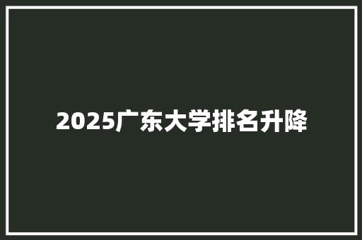 2025广东大学排名升降 计算机论文