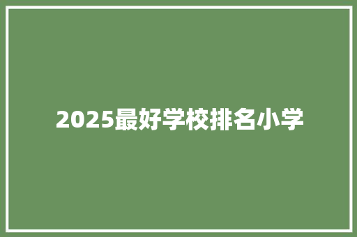 2025最好学校排名小学 简历资料