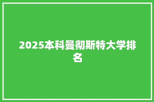2025本科曼彻斯特大学排名 个人写作