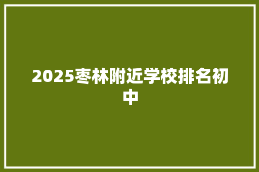 2025枣林附近学校排名初中 承诺书