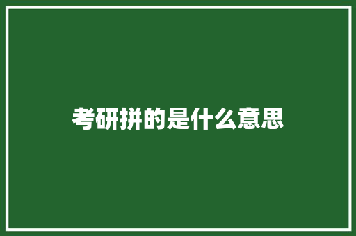 考研拼的是什么意思 文秘写作