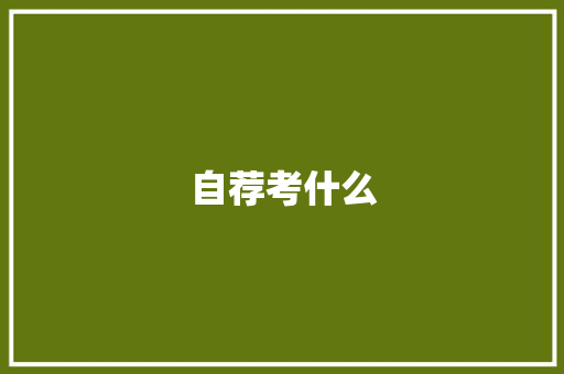 自荐考什么 承诺书